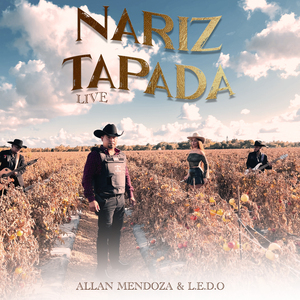 Nariz Tapada (Live)