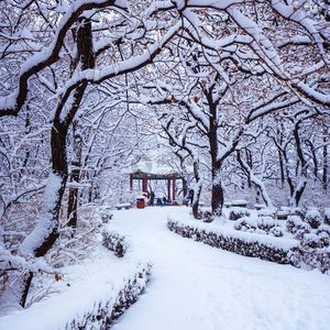 司南-冬眠（DJ清萧 版）（清萧 remix）