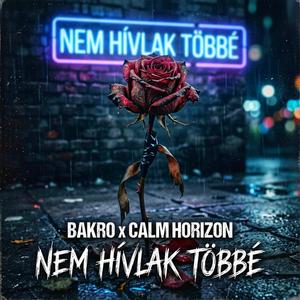 Nem Hívlak Többé (feat. BAKRO)