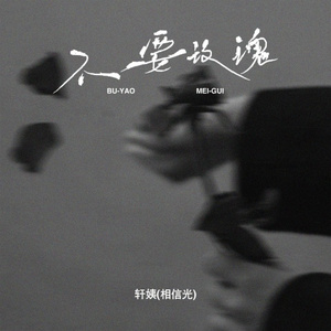 不要玫瑰 (DJ版)