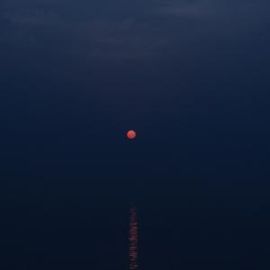 风月无边