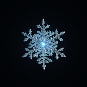 Płatek śniegu (feat. florek, Giu & Kuczi)