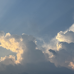 山不见我我自见山