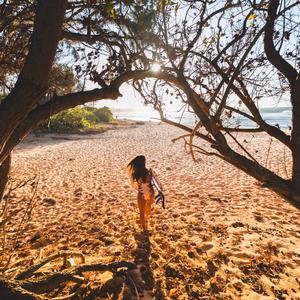 Sunlight (木漏れ日)