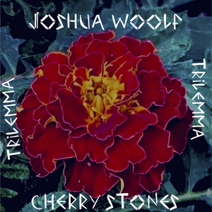 Cherry Stones