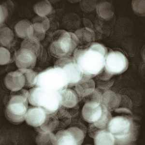 Heartglow
