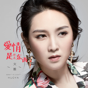 爱情是什么东西 (Remix2024)