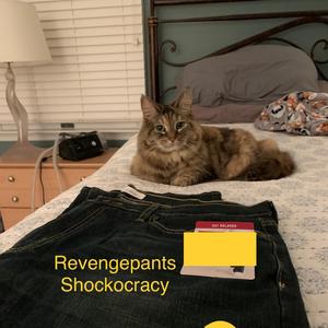 Revengepants (Kung Fu Rita)