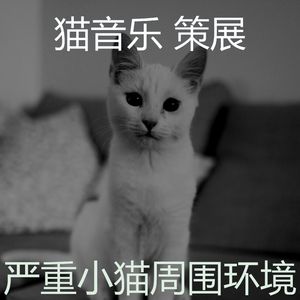 精彩睡猫环境