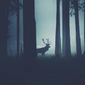 劝君惜取少年时