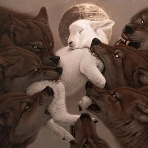 God's Timing (Stance Music 🇯🇲)