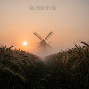 Собираем урожай