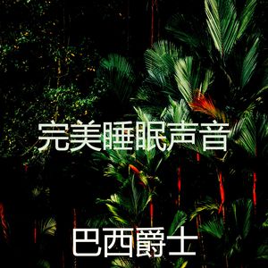 精致的假期环境