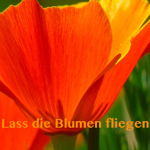 Aus Böhmen kommt die Musik