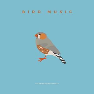 Calming Music For Birds