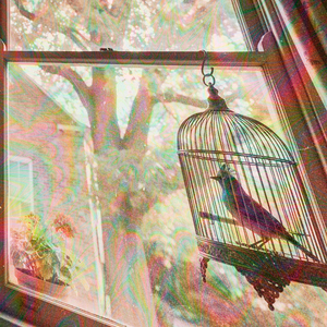 Барнаульский мальчик