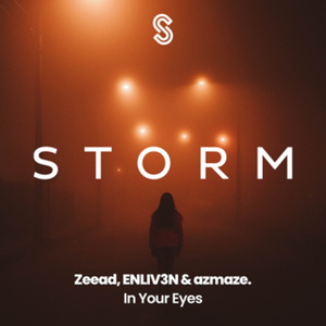 In Your Eyes (Ali Salahov Vip Mix)