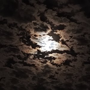 后来只剩我和旧时光