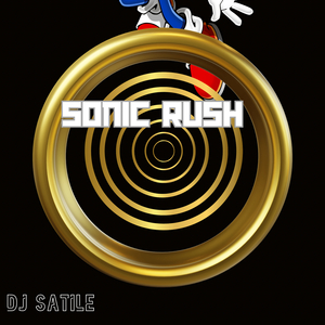 Sonic Rush