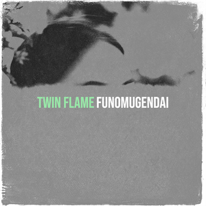 Twin Flame
