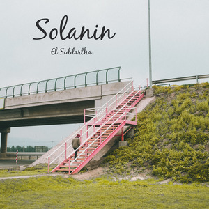 Solanin