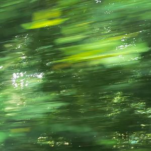 年轮（温柔女声版）