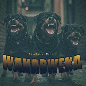 Wanabweka (feat. Rd Mjesh)