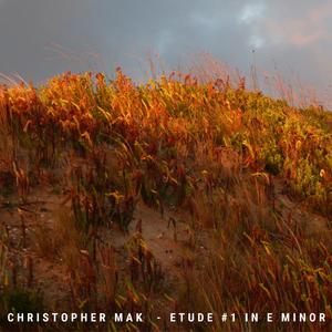 Etude No.1 in E minor