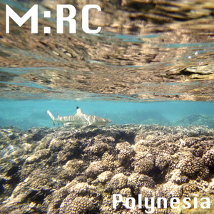 Island Kings & Mainland Queens