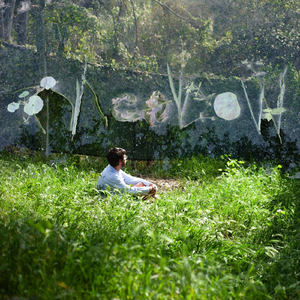 Meadow