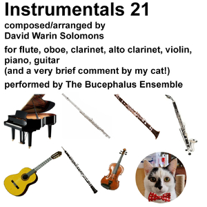 Nocturne Sans Sommeil for Alto Clarinet and Piano