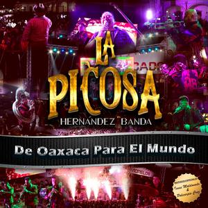 Medley Oaxaqueño: Son Calenda / Jarabe Mixteco / Palomito / Sones de Pochutla / Jarabe Ejuteco (En Vivo)