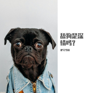舔狗是深情吗？