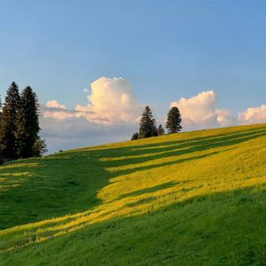 在星空下轻轻跳舞