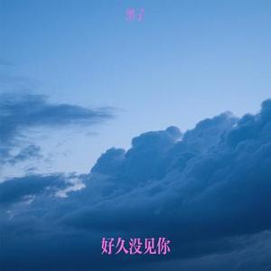 好久没见你 (Remix)