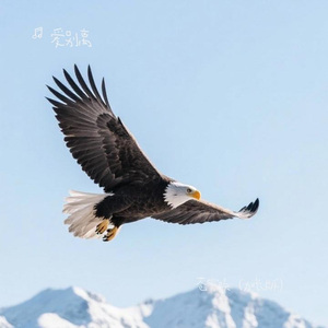 苍穹唤（加长版）