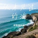 从未见过的海 (Cover 告五人) - 初壹音乐社 专辑封面