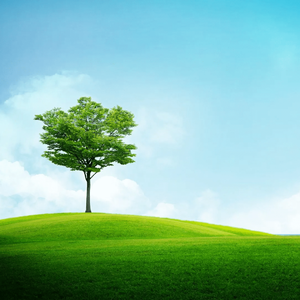 《黄昏街角的慵懒回响》