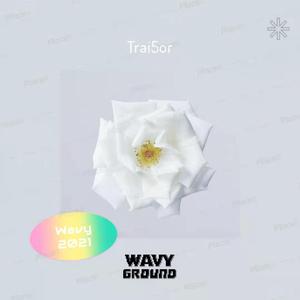 【Wavy伴奏】Free“日光派对”