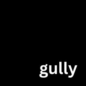Gully