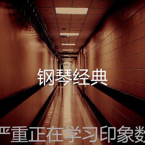 抚慰的正在学习回忆