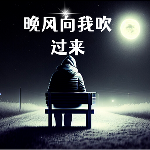 晚风向我吹过来