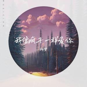 我像疯子一样爱你