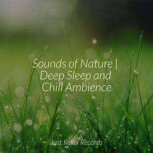 Enchanted Frost Glow