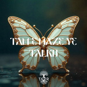 Tam-E Maze-Ye Talkh (Original Mix)