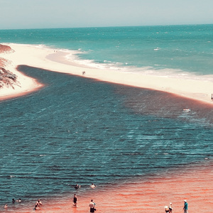 도시 속의 모험