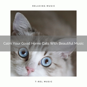 Total Nature Noises For Cats