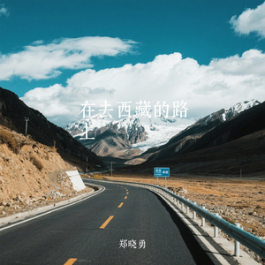 在去西藏的路上