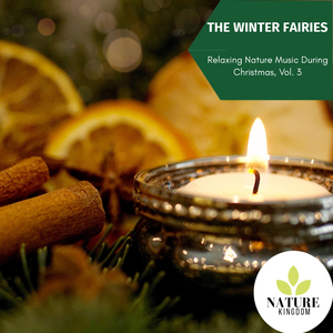 Dark Gray Birds Early Evening