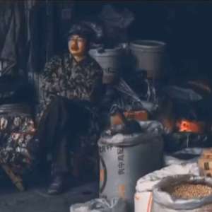 冬眠（Cover抖音伤感）（翻自 司南）